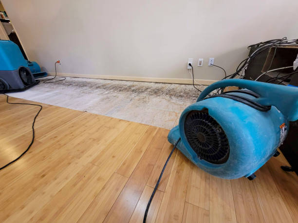 Professional Water Removal technician working in Kellogg, ID